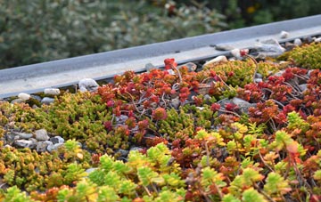 the cost of Banks Green green roof installation