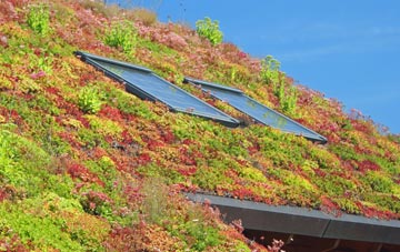 Banks Green living roof systems